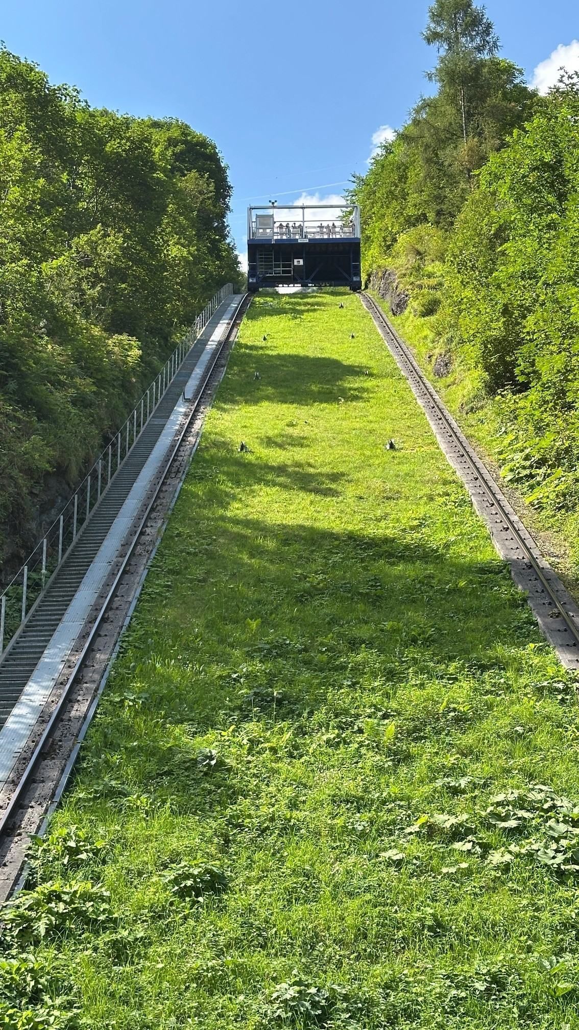 © SZZV KÄRNTEN, Liebchen, Schafe Ziegen Aktuell